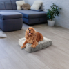 Rectangle Bed MD - Frosted Snow