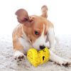 Chewy Treasure Chest