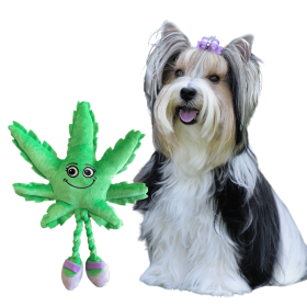 Mary Jane Plush Dog Toy