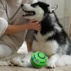 Giggle Dog Ball; 5.5" in Diameter; Green Interactive Sound 12 oz Ball