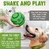 Giggle Dog Ball; 5.5" in Diameter; Green Interactive Sound 12 oz Ball