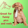 Phat Jay - Plush Dog Toy