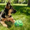 Giggle Dog Ball; 5.5" in Diameter; Green Interactive Sound 12 oz Ball
