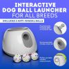 Interactive Ball Launcher