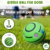 Giggle Dog Ball; 5.5" in Diameter; Green Interactive Sound 12 oz Ball
