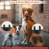 Dog Training Collar with Remote Rechargeable Electronic Shock Collar 2 pack
