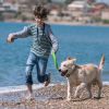 Dog Training Collar with Remote Rechargeable Electronic Shock Collar 2 pack
