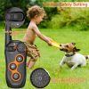 Dog Training Collar with Remote Rechargeable Electronic Shock Collar 2 pack