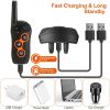Dog Training Collar with Remote Rechargeable Electronic Shock Collar 2 pack