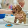 2pcs Dog Lick Pad Pet Shower Grooming Slow Feeder Dog Distraction Mat