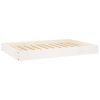 Dog Bed - White *FRAME ONLY* 36" x 25"