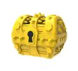 Chewy Treasure Chest