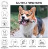 Dog Rope Toy 4 pc kit