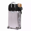 JESPET Soft-Sided Kennel Pet Carrier for Small Dogs, Cats, Puppy, Airline Approved Cat Carriers Dog Carrier Collapsible, Travel Handbag & Car Seat