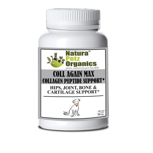 Coll Again Max Collagen Peptide Support Capsules* Hips, Joint, Bone & Cartilage Support* Dogs & Cats* Coll Again Max Collagen Peptide Support Capsules* Hips, Joint, Bone & Cartilage Support* Dogs & Cats*