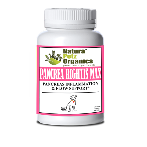 Pancrea Rightis Max Support* Capsules Pancreas Inflammation & Flow Support Dogs Cats* Pancrea Rightis Max Support* Capsules Pancreas Inflammation & Flow Support Dogs Cats*