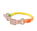 Luxe Royal Leather Rope Leash and Collar Set