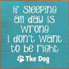 If Sleeping All Day Is Wrong I Don't Want To Be Right (Color: Old Turquoise)