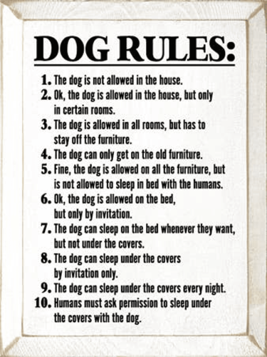 Dog Rules Funny Wood Sign