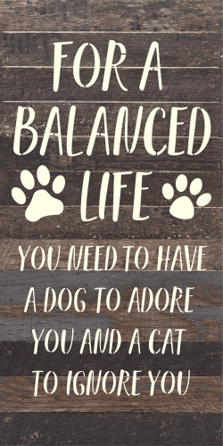 For a balanced life you need to have a d... Wood Sign