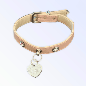Pretty in Pink and Sniffany Collar (size: 20")