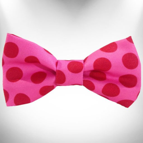 Polka Dot Dog - Monotone Bow Tie (Color: Pink)