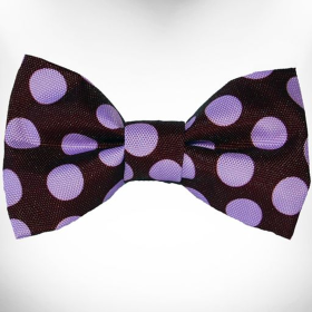 Polka Dot Dog Bow Tie (Color: Purple Dot on Brown)