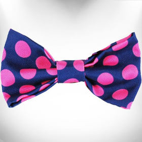 Polka Dot Dog Bow Tie (Color: Pink Dot on Blue)
