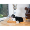 Armarkat Pet Bed Mat, Dog Crate Soft Pad W Poly Fill Cushion
