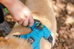 Millvue EZ Fit Dog Harness