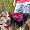 Adventurer 2-piece Dog Pack With EZ Latch  Harness