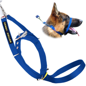 Canny Collar (Color: Blue, size: 15"-17" - Size 4)