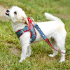 Step-In Denim Harness
