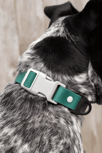 Siberian Spruce Waterproof Dog Collar