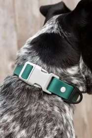 Siberian Spruce Waterproof Dog Collar (size: 13 - 15 inch)