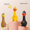 Big Mouth Chicken Sounding Bite Resistant Dog Toy