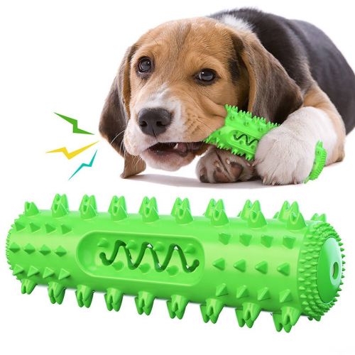 Molar Stick Toothbrush for Pet Dog