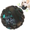 PawPartner Dog Giggle Ball