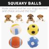 Squeaky Puppy Sports Balls