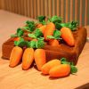 Carrot Farm Plush Dog Puzzle Toy