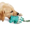 Dino Breaking Out Of Egg Dog Chew Toy