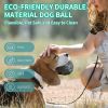 PawPartner Dog Giggle Ball