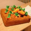 Carrot Farm Plush Dog Puzzle Toy