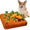 Carrot Farm Plush Dog Puzzle Toy
