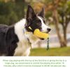 Corny Chew Toy - Many Varieties