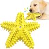Sea Star Shaped Dog Toothbrush & Chew Toy