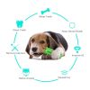 Molar Stick Toothbrush for Pet Dog