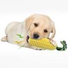 Corny Chew Toy - Many Varieties