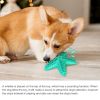 Sea Star Shaped Dog Toothbrush & Chew Toy
