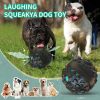 PawPartner Dog Giggle Ball